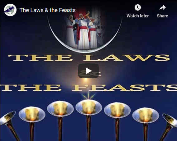 The Law and the Feasts